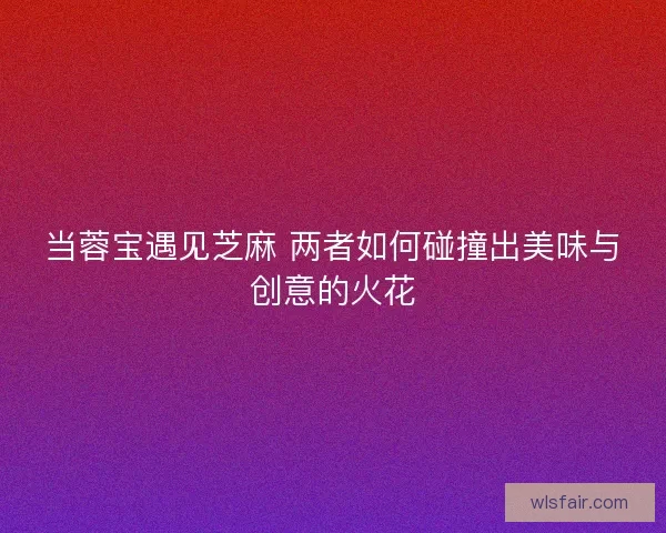 当蓉宝遇见芝麻 两者如何碰撞出美味与创意的火花
