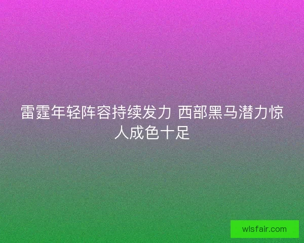 雷霆年轻阵容持续发力 西部黑马潜力惊人成色十足