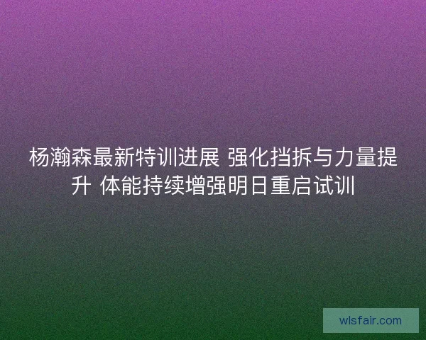 杨瀚森最新特训进展 强化挡拆与力量提升 体能持续增强明日重启试训
