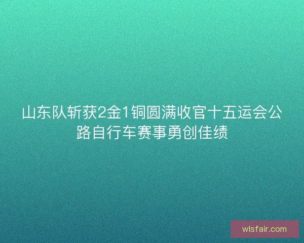山东队斩获2金1铜圆满收官十五运会公路自行车赛事勇创佳绩