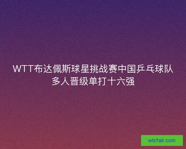 WTT布达佩斯球星挑战赛中国乒乓球队多人晋级单打十六强