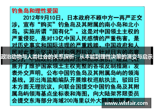 政治动物与人类社会的关系探析：从本能到理性决策的演变与启示