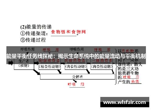 能量平衡任务线探秘：揭示生命系统中的能量流动与平衡机制